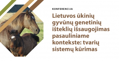 2025-05-29 anonsas mažas-0578ffafa82f0c2f6fb4bd92576a7b36.jpg